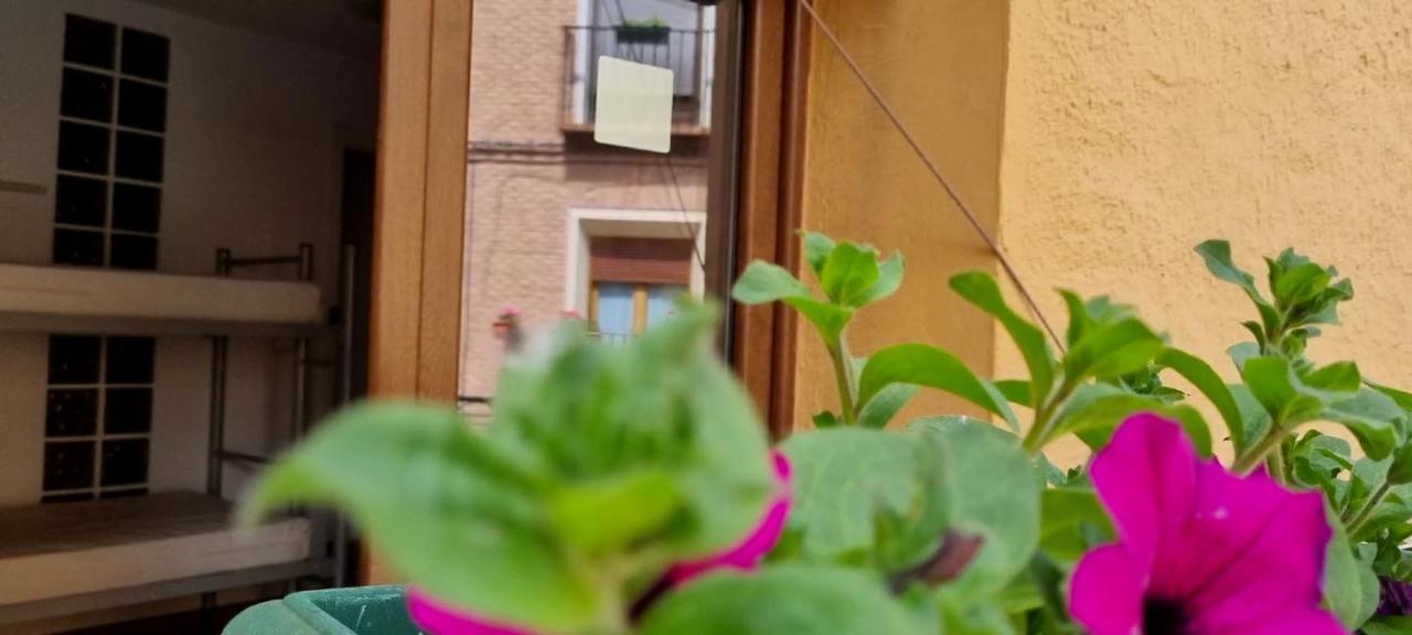 Casa De La Abuela Vandrarhem Los Arcos Exteriör bild
